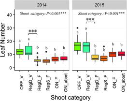 Fig.1: Box plot representation of the number of leaves of the annual shoots in 2014 and 2015 depending on the shoot category.  © François Laurens/Springer Nature