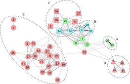 Fig.5: Network of kinship for the 43 D. alata redundancy groups based on significant similarity © F. Cormier/Wiley