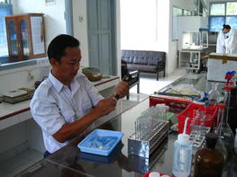 Analyse du diagnostic latex par un chercheur indonésien, station Irri de sembawa, Palembang, Indonésie. © P. Montoro, Cirad, 2015.