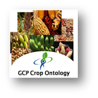 © Generation Challenge Programme sur la Crop Ontology