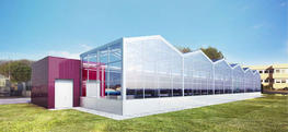 A greenhouse of the future is on the way. © Cirad