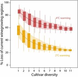 Fig.2: Winegrape cultivar diversity can impact the loss of current winegrowing regions © I Morales-Castilla/PNAS