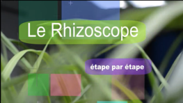 Le rhizoscope. © Cirad