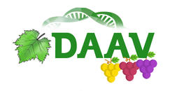 Logo_DAAV_CM