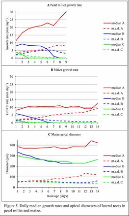 Daily median growth rates and apical diameters of lateral roots in pearl millet and maize. A and B, Daily median growth rates and associated mean absolute deviations (m.a.d.) were computed for pearl millet (A) and maize (B) lateral root types A, B, and C. C, Daily median apical diameters and associated mean absolute deviations were computed for maize lateral root types A, B, and C.
