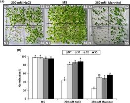Fig.4: Effect of salt (NaCl 200 mM) or osmotic (mannitol 350 mM) stresses on seed germination and plant phenotype in transgenic tobacco plants overexpressing the AlSRG1 gene  © Rania Ben Saad/Elsevier