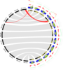Diagrammatic representation (red link) of the two regions swapped by reciprocal translocation involving chromosomes 1 and 4 between the structure of the reference genome (standard structure marked ST) and the alternative structure (found in some malaccencis accessions from northern Malaysia, marked NM). From inside to outside: Gene density (blue) and repeat sequences (green, orange and violet), recombination rate and segregation distortion in a heterozygous individual for this ¼ translocation.