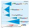 Fig 1. Maximum likelihood phylogeny of viral reverse transcriptases © M Krupovic/Am Soc for Microbiology