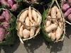 Sweet potatoes, which originated in tropical America, were already being grown in Polynesia when the first European explorers arrived © CIRAD, V. Lebot.