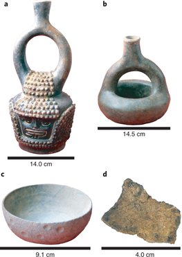 Fig. 2: Selected artefacts from SALF that tested positive for T. cacao and Theobroma spp. by aDNA, starch grains and theobromine analyses © S Zarillo/Nature