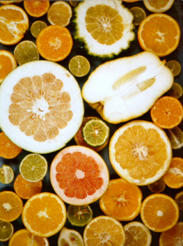 Diversity of citrus fruits. © P. Ollitrault, Cirad.