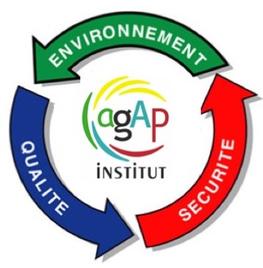 © Quality Safety Environment AGAP Institute, 2021