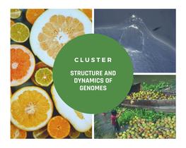 Cluster : Structure and dynamics of genomes. © UMR Agap Institute, 2021