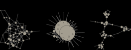 Representation of the three network topologies: (A) decentralized network; (B) centralized network; (C) community network. Node size is proportional to the degree. © Mathieu Thomas