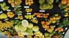 Diversity of citrus fruit of Corsica. © F. Luro, INRAE
