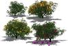Fig.6: Stochastic simulation of the architecture of a mango tree at different periods of the growing cycle © F Boudon/Oxford Academic